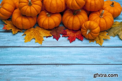 Collection of halloween pumpkin Thanksgiving orange vegetable 25 HQ Jpeg