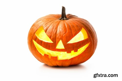 Collection of halloween pumpkin Thanksgiving orange vegetable 25 HQ Jpeg