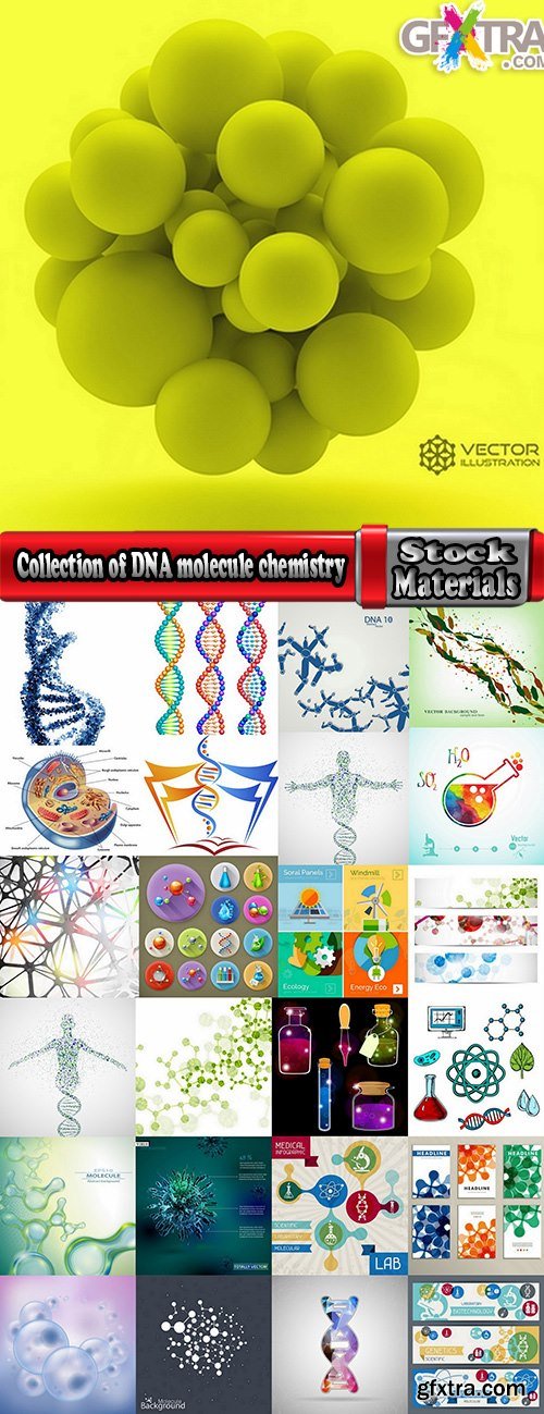 Collection of DNA molecule chemistry chemistry icon flyer banner vector image 25 EPS