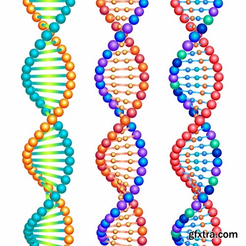 Collection of DNA molecule chemistry chemistry icon flyer banner vector image 25 EPS