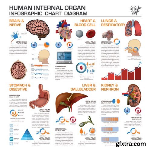 Infographic Chart Diagram - 10xEPS