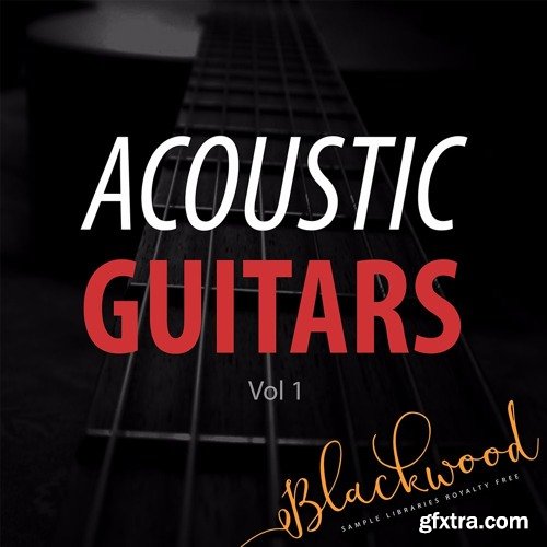 BLACKWOOD Samples Acoustic Guitars WAV-DISCOVER