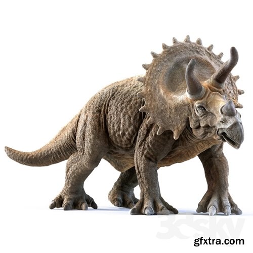 Best model of the week triceratops