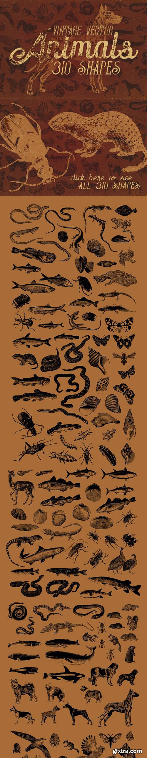 CM - Vintage Animals Vectors 777712