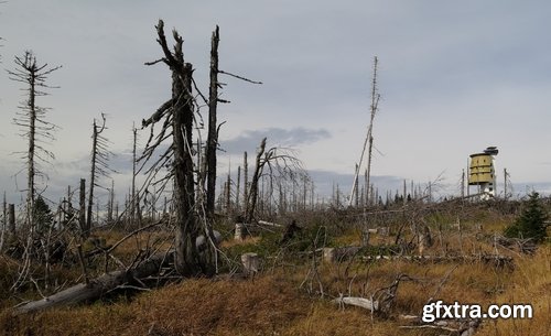 Collection watchtower tower guard landscape nature 25 HQ Jpeg