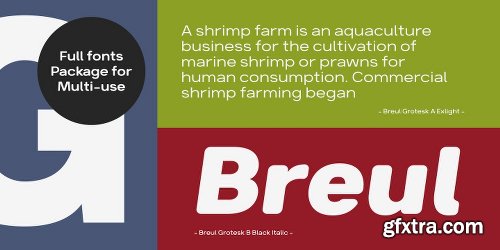 Brueul Grotesk Font Family - 32 Fonts