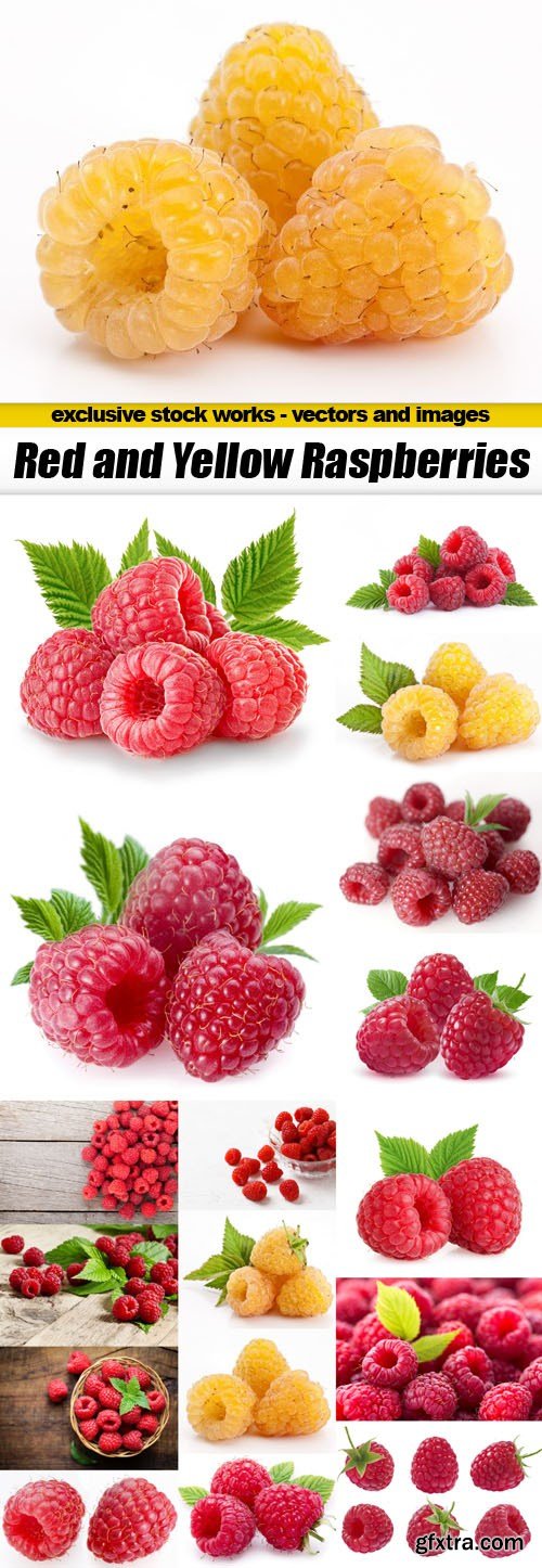 Red and Yellow Raspberries - 17xUHQ JPEG