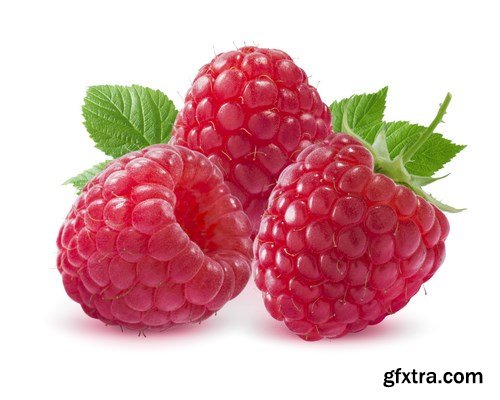 Red and Yellow Raspberries - 17xUHQ JPEG