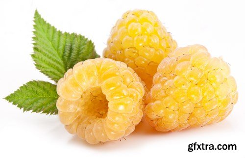 Red and Yellow Raspberries - 17xUHQ JPEG