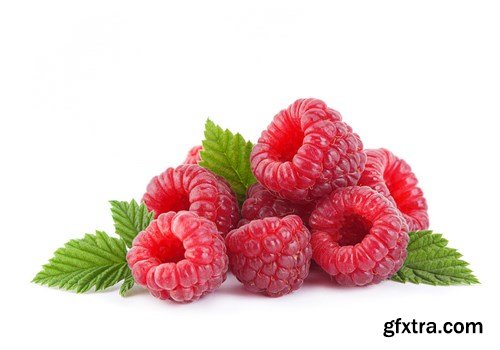 Red and Yellow Raspberries - 17xUHQ JPEG