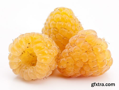 Red and Yellow Raspberries - 17xUHQ JPEG