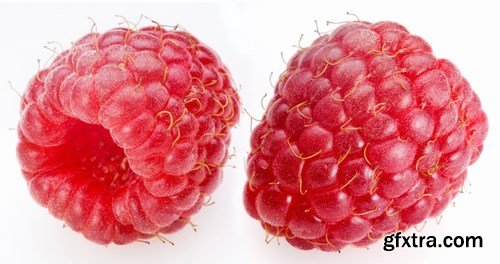 Red and Yellow Raspberries - 17xUHQ JPEG