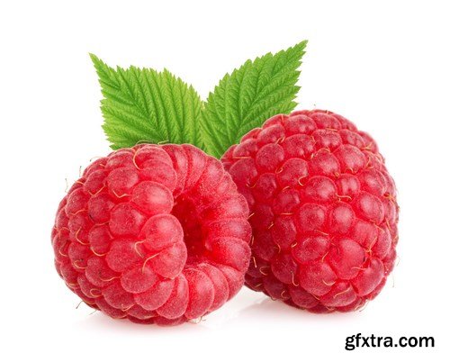 Red and Yellow Raspberries - 17xUHQ JPEG