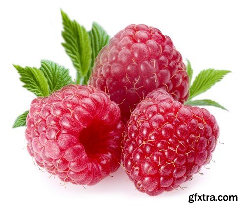 Red and Yellow Raspberries - 17xUHQ JPEG