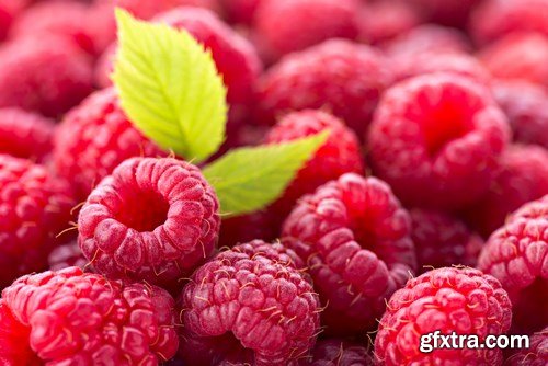 Red and Yellow Raspberries - 17xUHQ JPEG