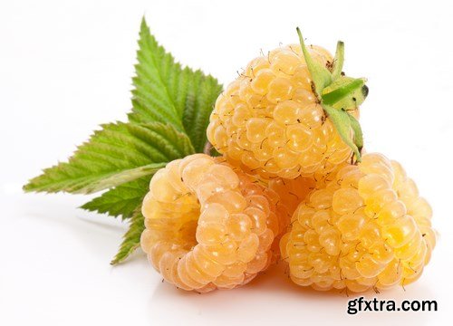 Red and Yellow Raspberries - 17xUHQ JPEG