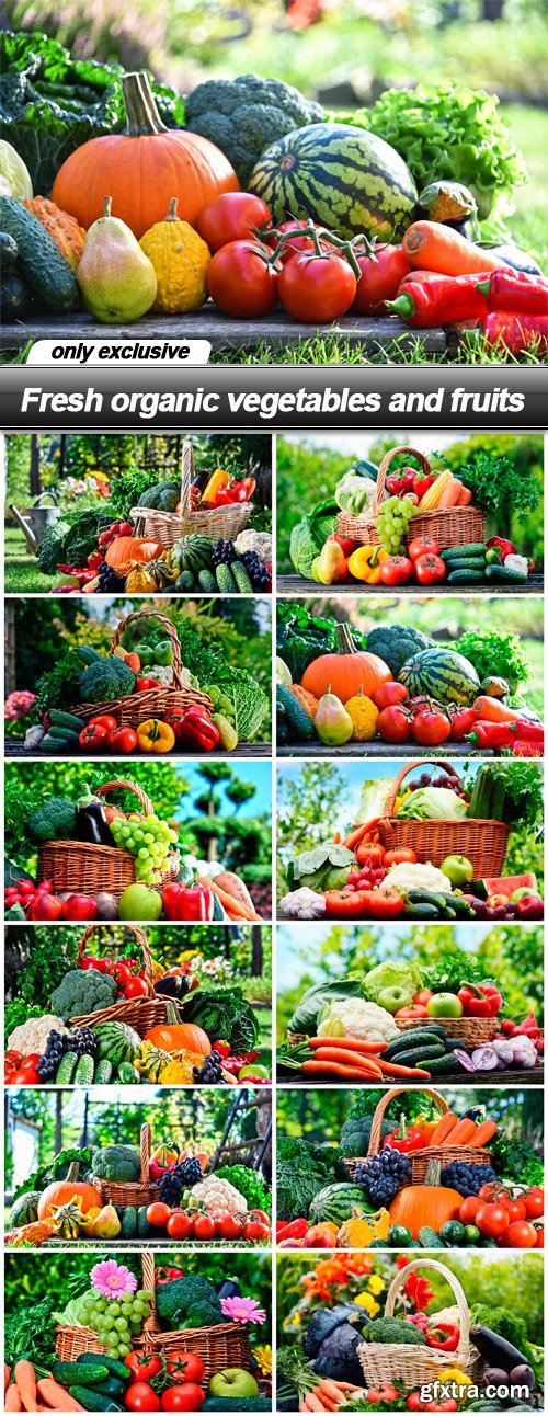 Fresh organic vegetables and fruits - 12 UHQ JPEG