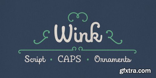 Wink Font Family - 3 Fonts