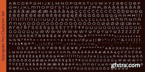 Syncopate Pro Font Family - 3 Fonts