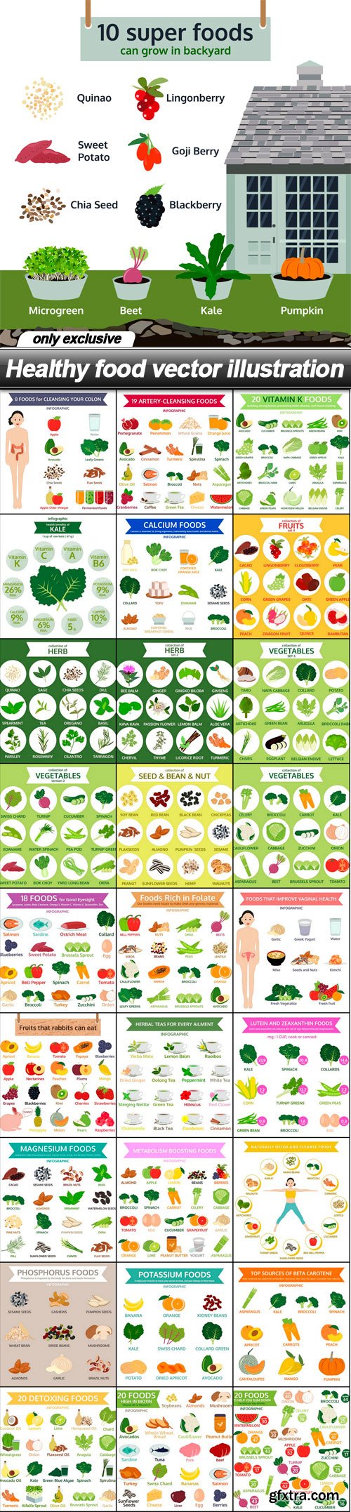 Healthy food vector illustration - 28 EPS