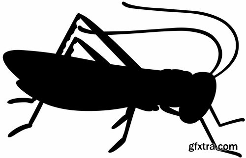 Collection of locust grasshopper insect pest a vector image 25 EPS