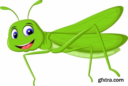 Collection of locust grasshopper insect pest a vector image 25 EPS