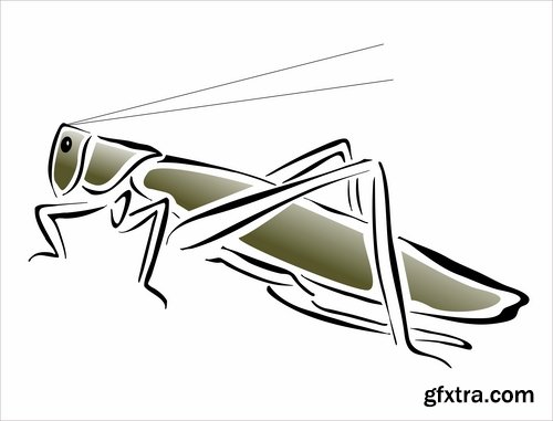 Collection of locust grasshopper insect pest a vector image 25 EPS