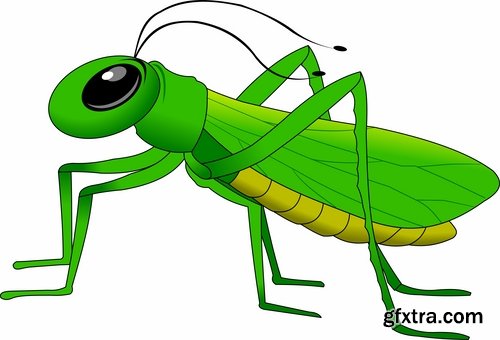 Collection of locust grasshopper insect pest a vector image 25 EPS