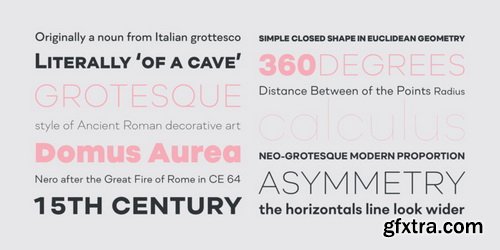 Soin Sans Neue Font Family $299