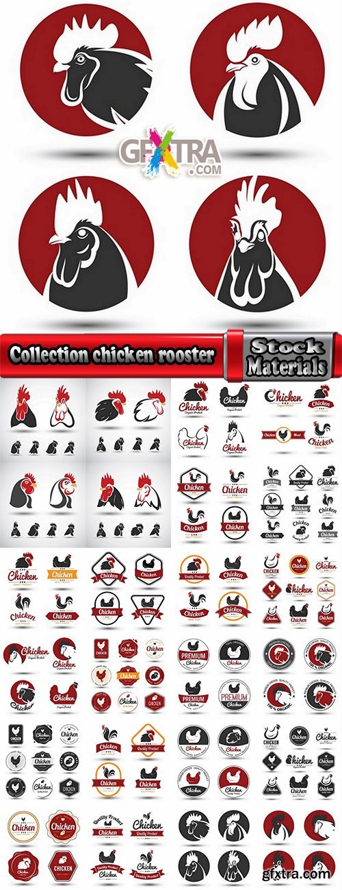 Collection chicken rooster label sticker vector image 25 EPS