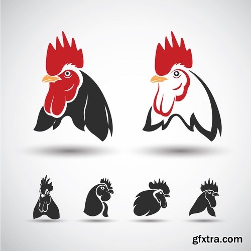 Collection chicken rooster label sticker vector image 25 EPS