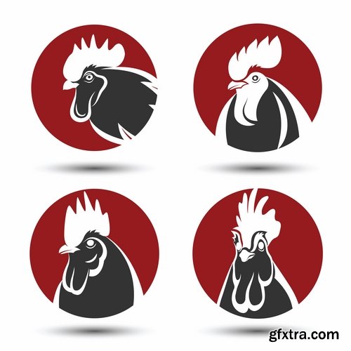 Collection chicken rooster label sticker vector image 25 EPS