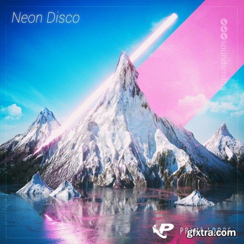 Prime Loops Neon Disco MULTiFORMAT-TZG