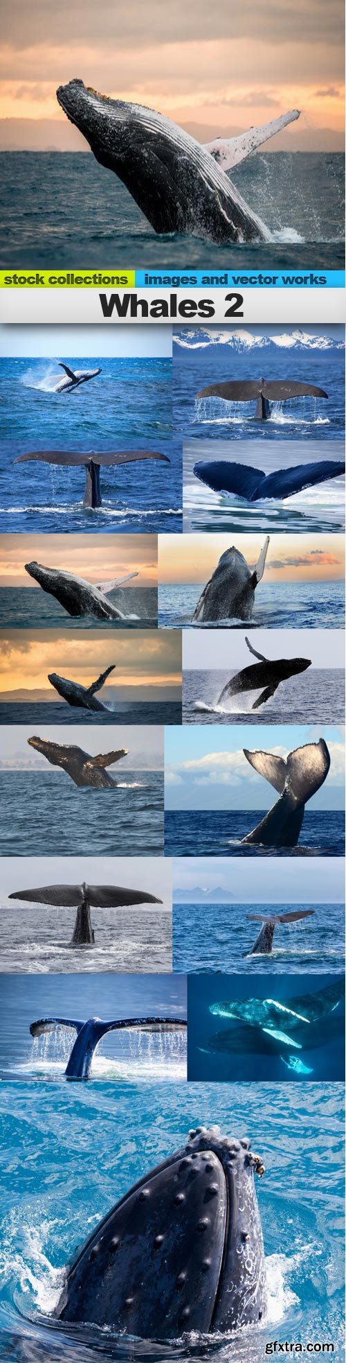 Whales 2, 15 x UHQ JPEG