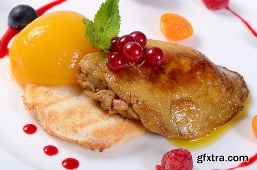 Collection foie gras fried duck sternum delicacy dishes presentation 25 HQ Jpeg