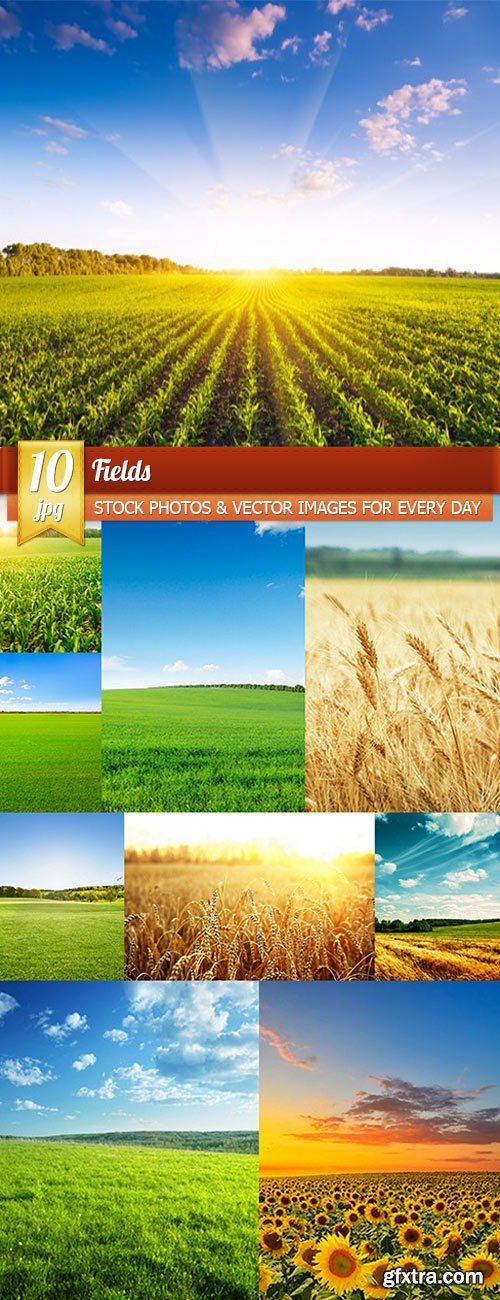 Fields, 10 x UHQ JPEG