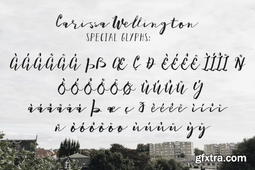 CreativeMarket Carissa Wellington 952260