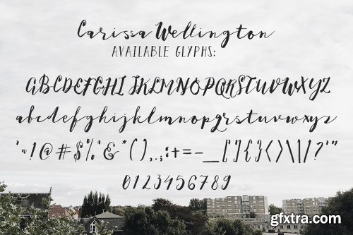 CreativeMarket Carissa Wellington 952260