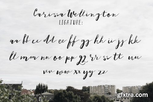 CreativeMarket Carissa Wellington 952260