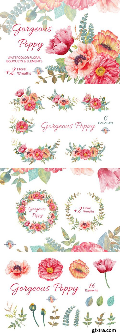 CM - Gorgeous Poppy Watercolor Clipart 448448