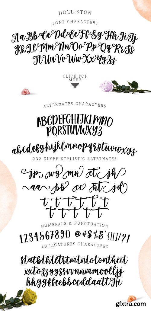 CreativeMarket Holliston Script 964219