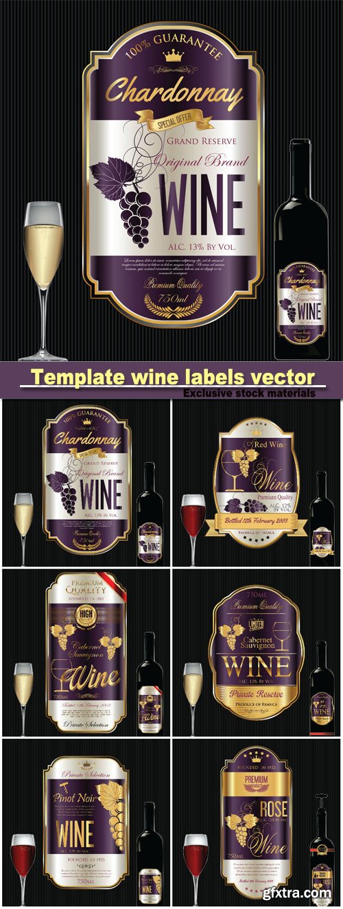 Template wine labels vector