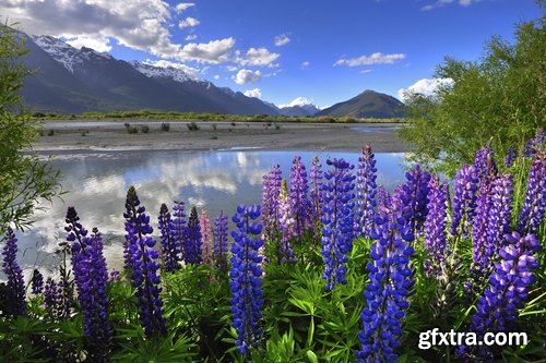 Collection New Zealand landscape mountain nature sea city field 25 HQ Jpeg