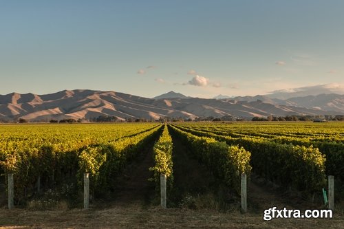 Collection New Zealand landscape mountain nature sea city field 25 HQ Jpeg