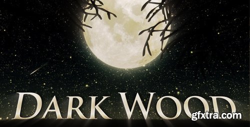 Videohive Dark Wood 97362