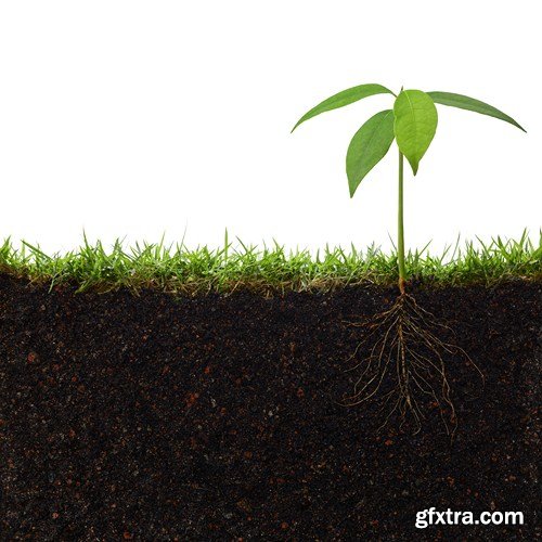 Grass and soil, 10 UHQ JPEG