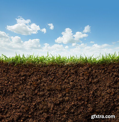 Grass and soil, 10 UHQ JPEG