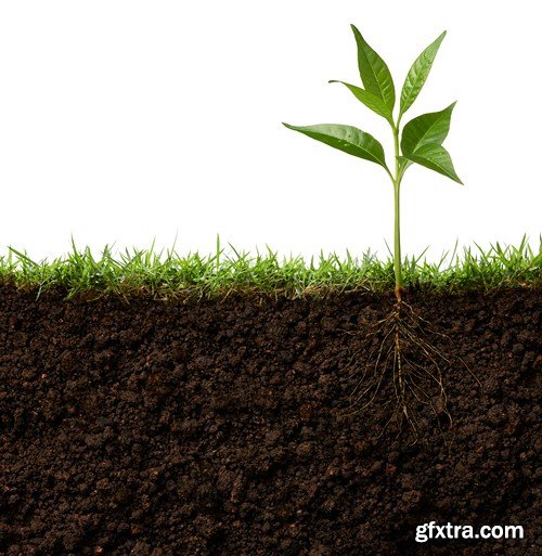 Grass and soil, 10 UHQ JPEG