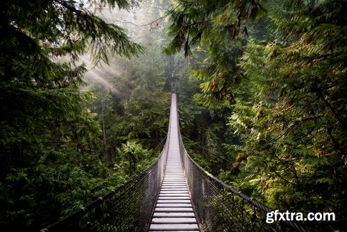 Collection of support rope suspension bridge crossing of the valley the canyon 25 HQ Jpeg