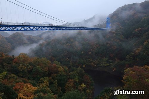 Collection of support rope suspension bridge crossing of the valley the canyon 25 HQ Jpeg